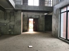 碧桂园天玺湾(别墅)  选房勘察与风水布局指导
