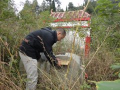 咸宁风水大师看风水：阴宅风水勘察