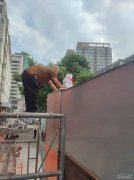 武汉风水大师潘非商超超市大门气口布局
